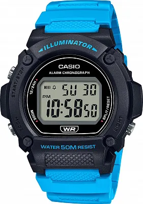 Наручные часы Casio W-219H-2A2