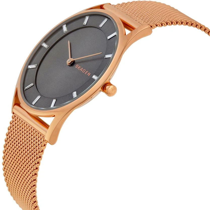 Skagen Steel Women SKW2378