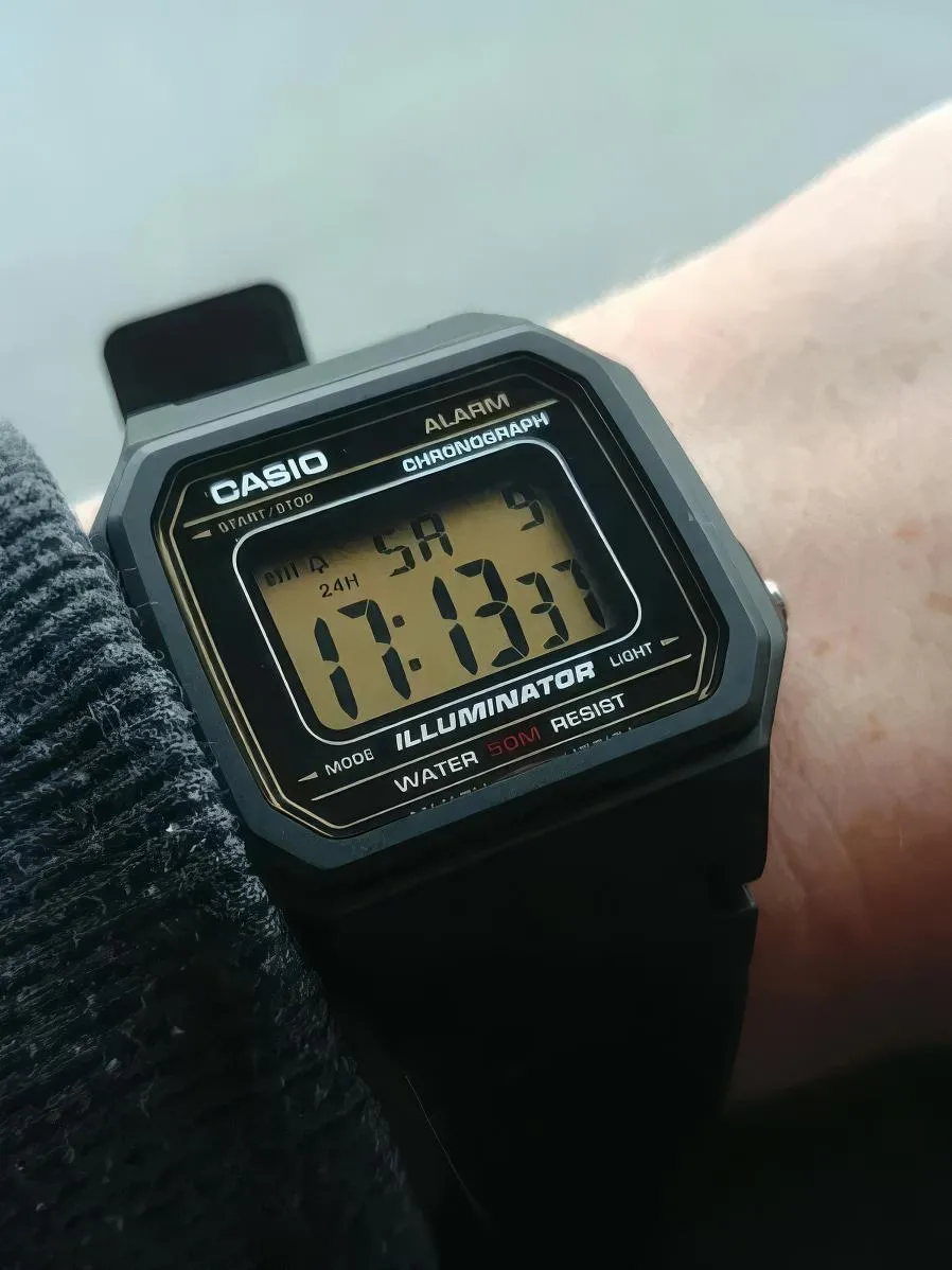 Casio W-217H-9A