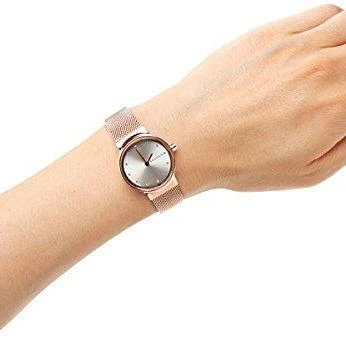 Skagen Steel Women SKW2665
