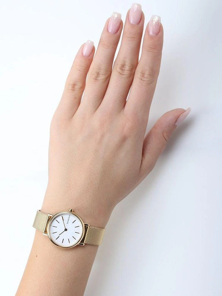 Skagen Steel Women SKW2693