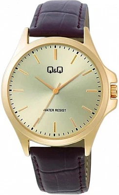 Наручные часы Q&Q C36AJ010Y