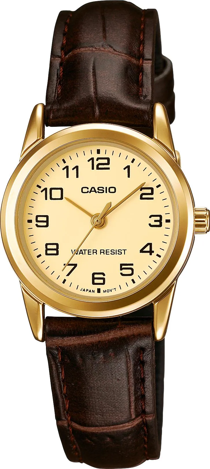Casio Collection LTP-V001GL-9B