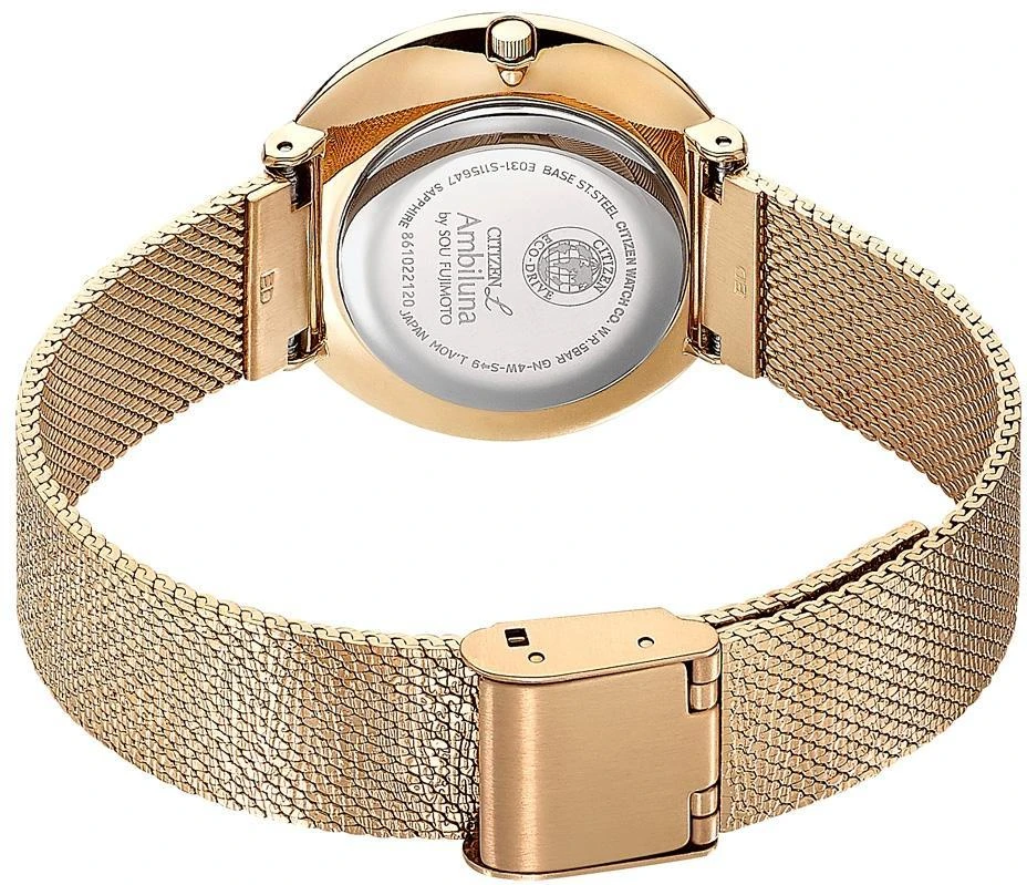 Citizen EM0643-84X