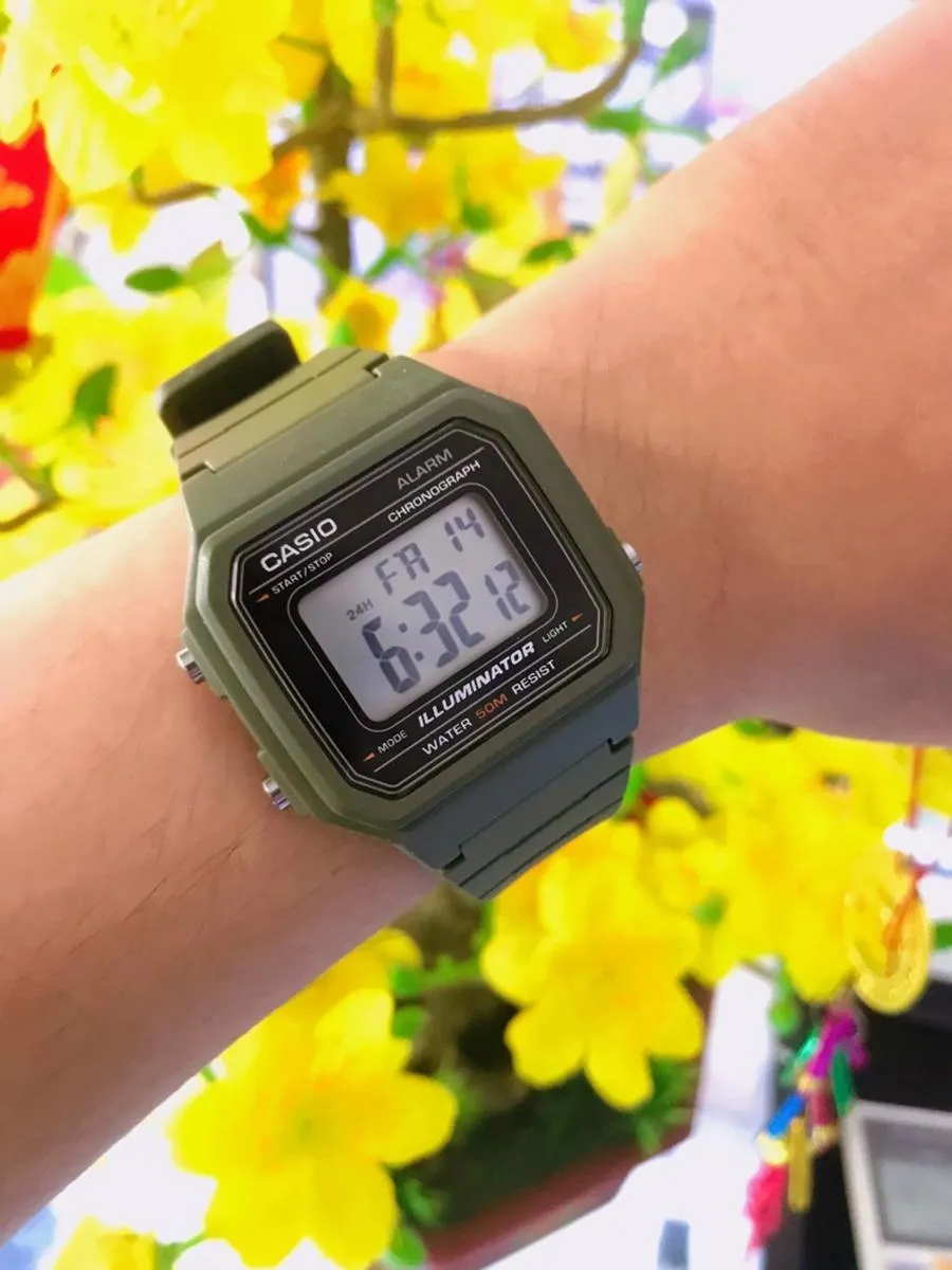 Casio W-217H-3A