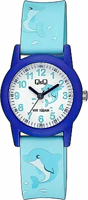 Наручные часы Q&Q V22AJ014Y