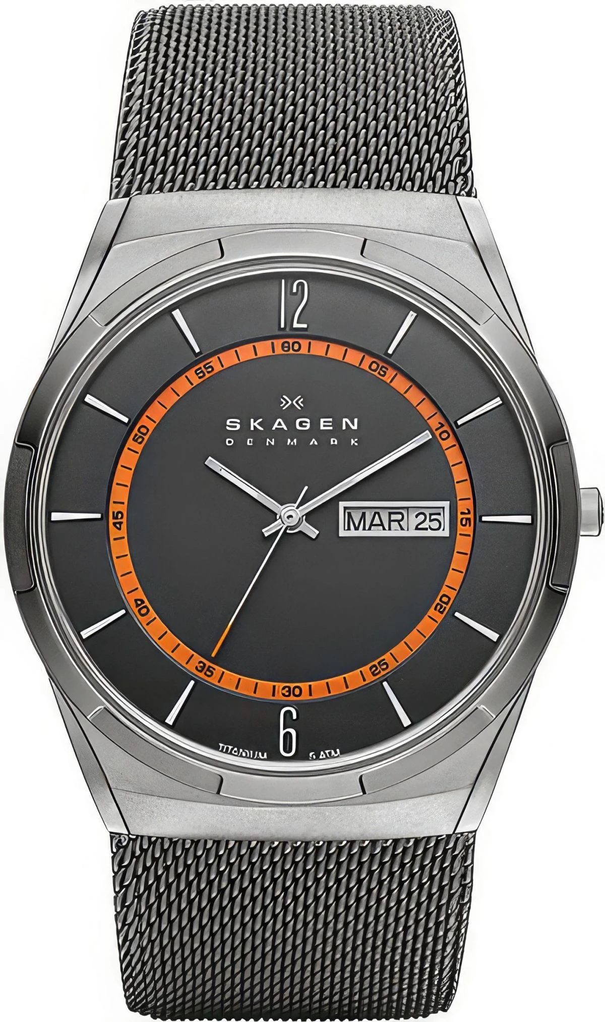 Skagen Titanium SKW6007