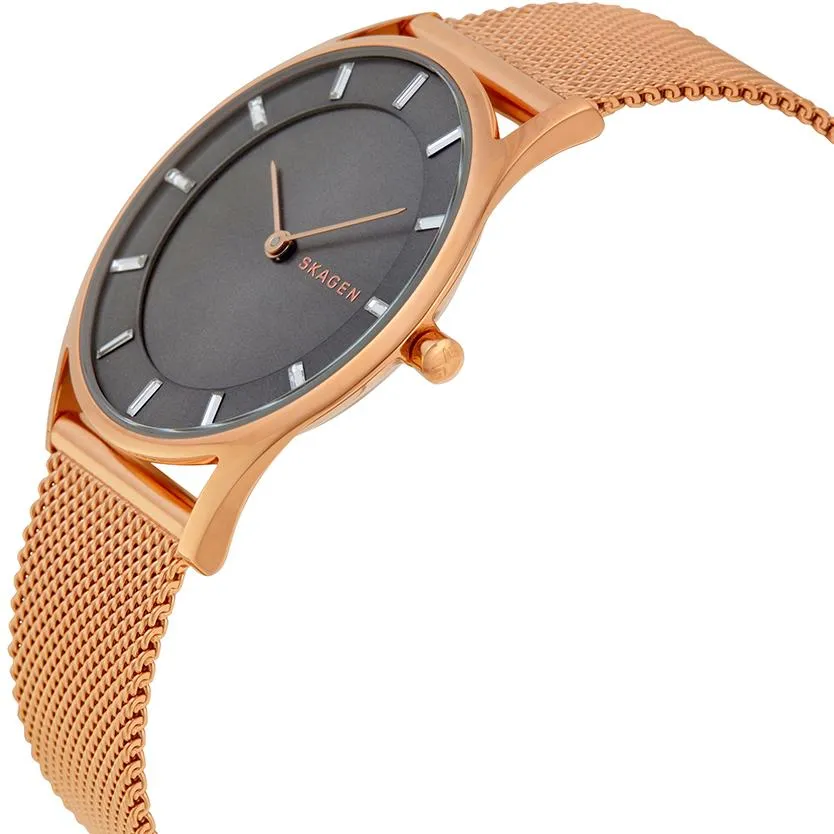 Skagen Steel Women SKW2378
