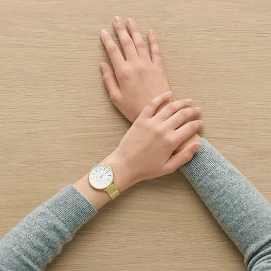 Skagen Steel Women SKW2722
