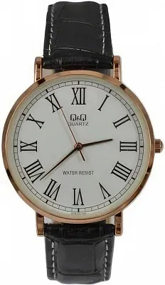 Наручные часы Q&Q Q978J808Y