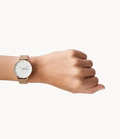 Skagen Steel SKW2918