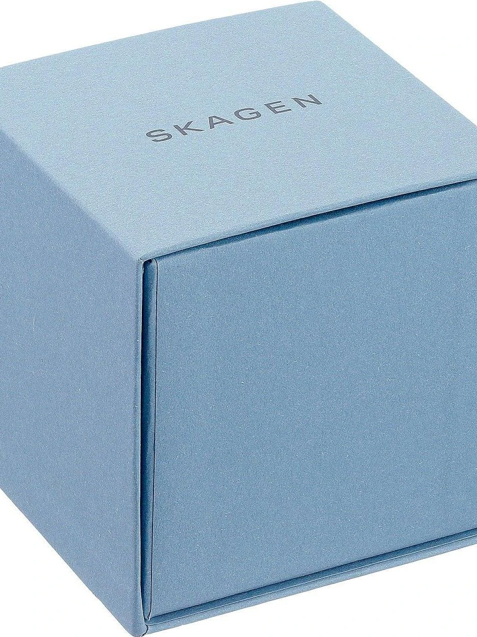 Skagen Steel Women SKW2665