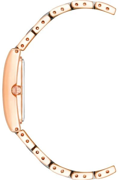 Anne Klein 3998NVRG