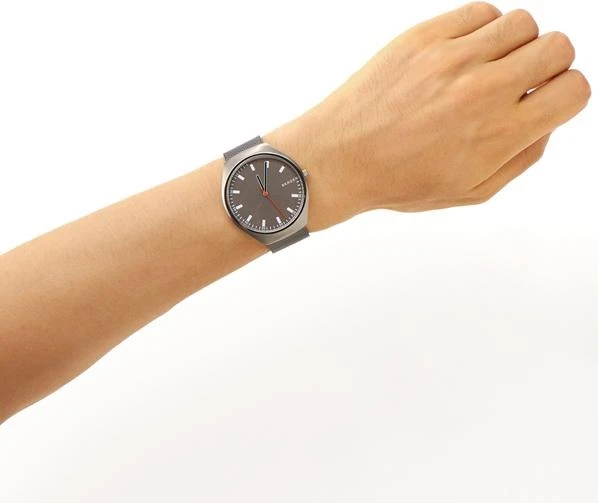 Skagen Titanium SKW6387
