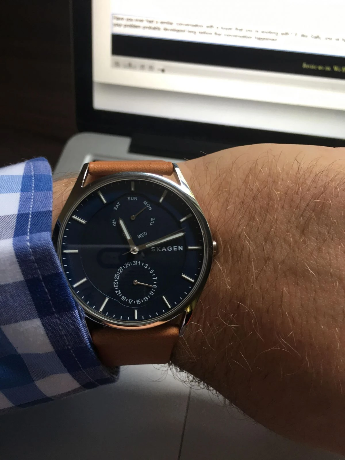 Skagen Mesh SKW6369