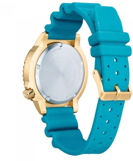 Citizen Eco Drive BN0162-02X