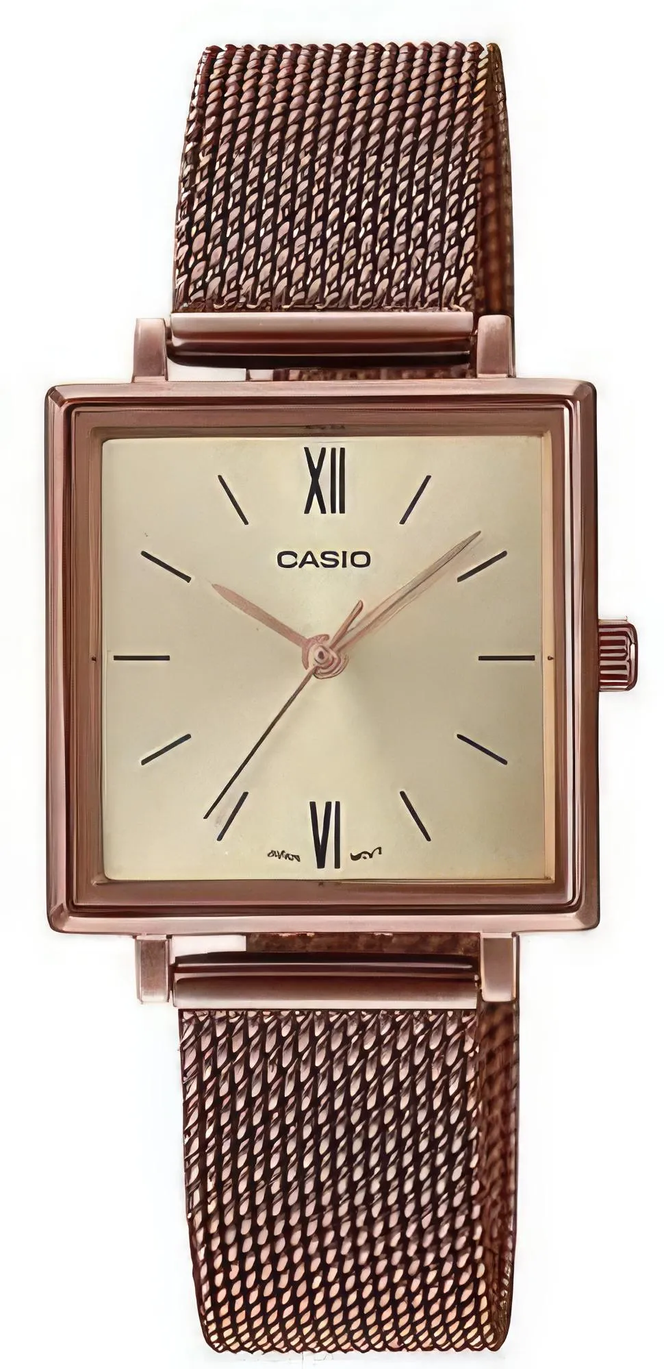 Casio Collection LTP-E155MR-9B
