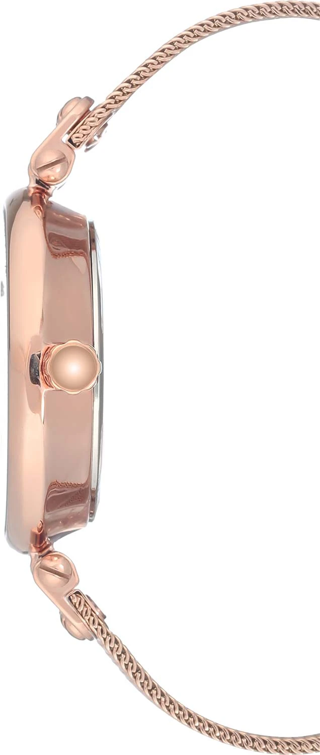 Anne Klein 3000BYRG