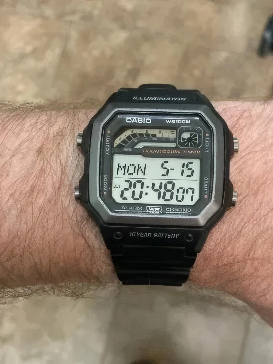 Casio Collection WS-1600H-8A