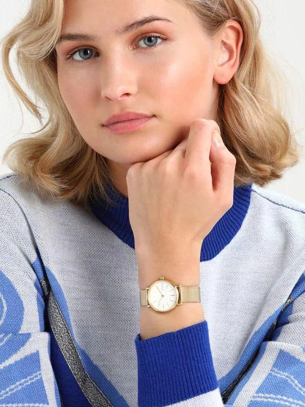 Skagen Steel Women SKW2693