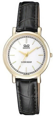 Q&Q Q979J121Y