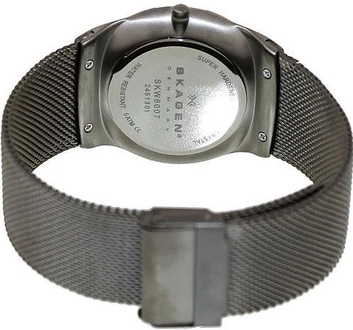 Skagen Titanium SKW6007