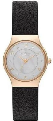 Skagen SKW2209