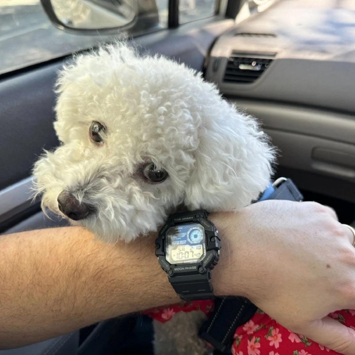 Casio Collection WS-1700H-1A