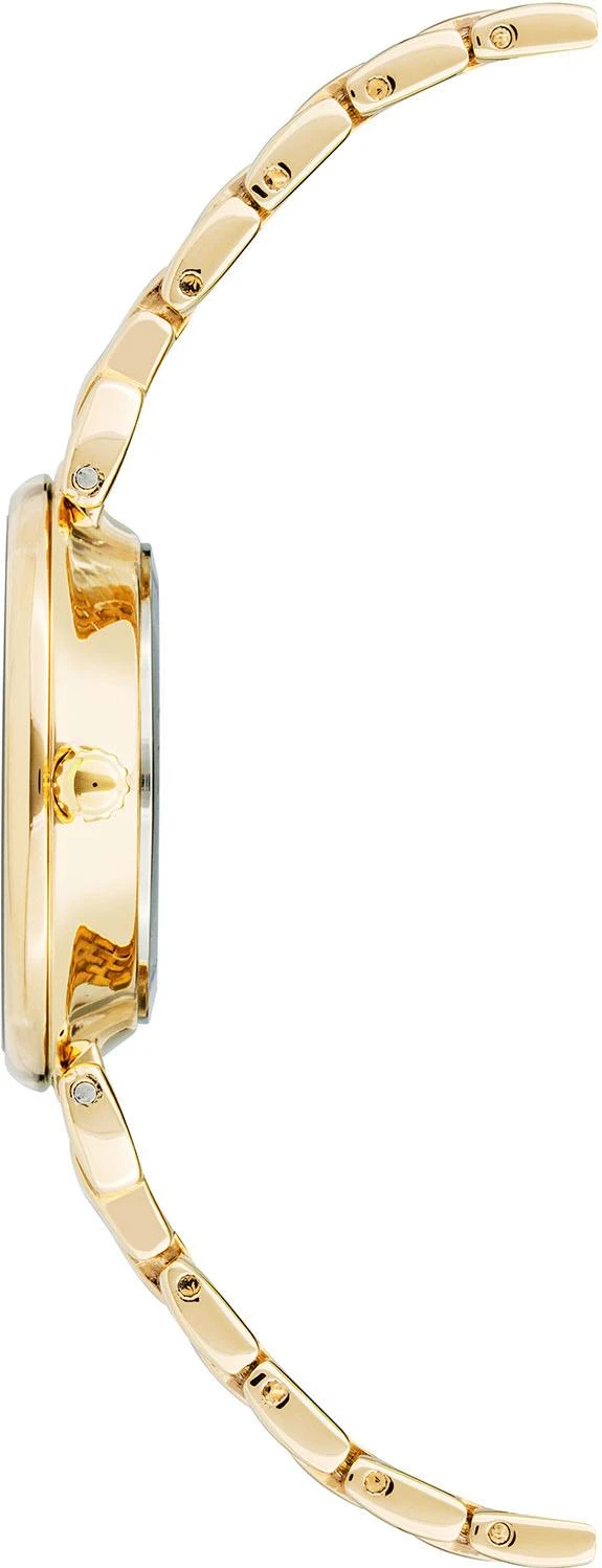 Anne Klein 3872CHGB