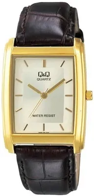 Q&Q VG30J101Y