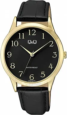 Наручные часы Q&Q C10AJ021Y
