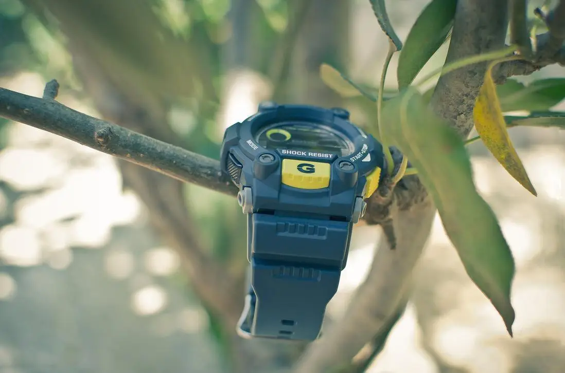 Casio G-7900-2D