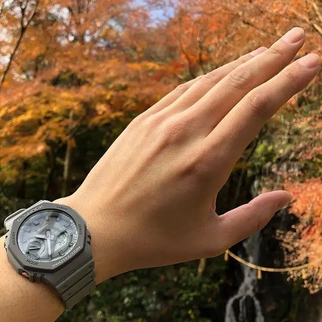 Casio GA-2110ET-8A