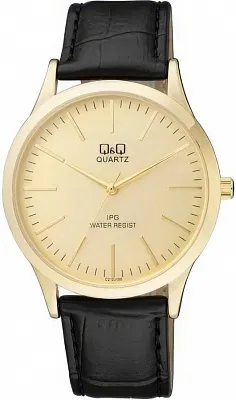 Наручные часы Q&Q C212J100Y
