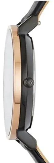 Skagen Leather Women SKW2490
