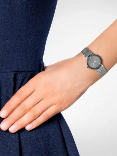 Skagen Steel Women SKW2700