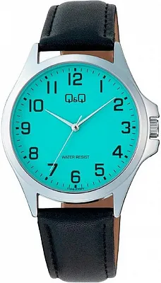 Наручные часы Q&Q C36AJ020Y