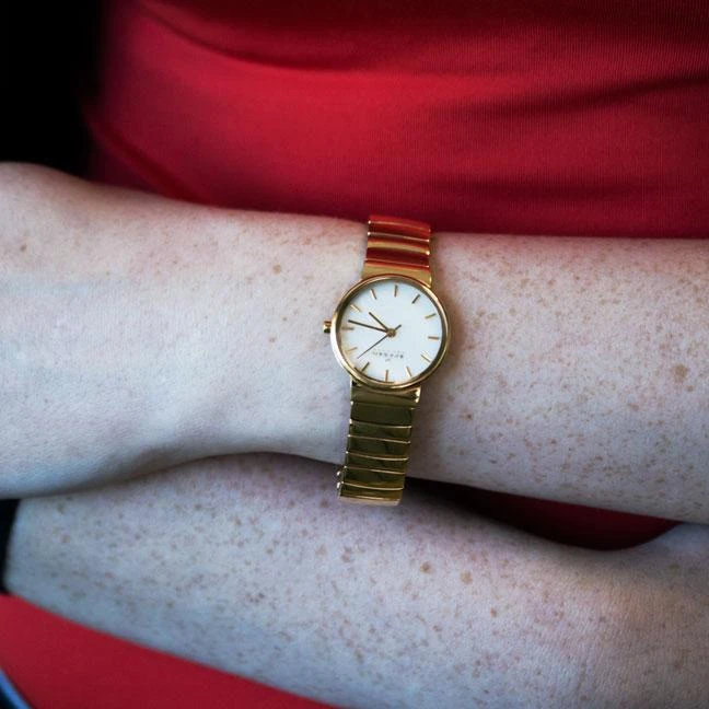 Skagen Steel Women SKW2199