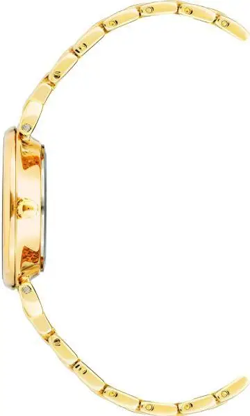 Anne Klein 2158BHGB