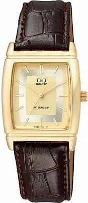 Наручные часы Q&Q Q880J100Y