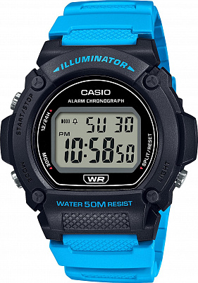 Наручные часы Casio W-219H-2A2