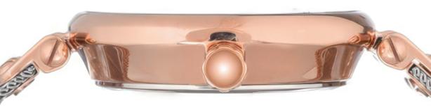 Anne Klein 3001SVRT