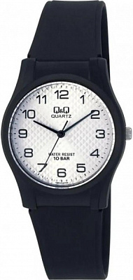 Наручные часы Q&Q VQ02J010Y