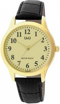 Наручные часы Q&Q C02AJ009Y