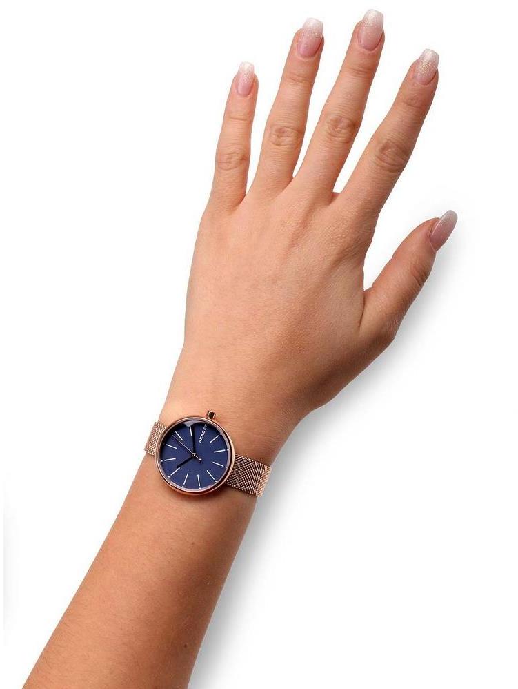 Skagen Steel Women SKW2593