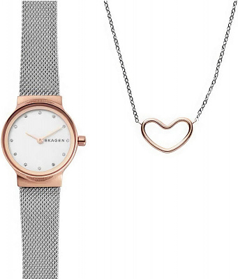 Наручные часы Skagen SKW1101