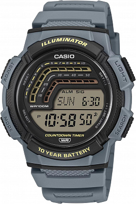 Наручные часы Casio WS-1800-2A