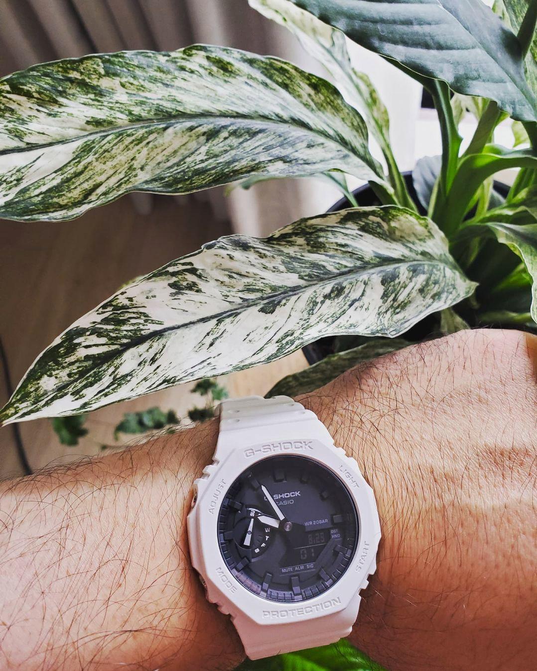 Casio GA-2100-7A