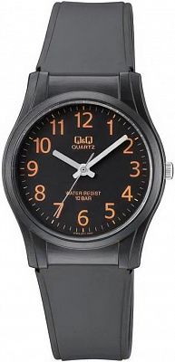 Наручные часы Q&Q VQ02J011Y