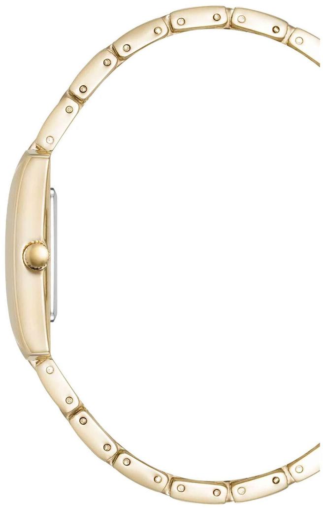 Anne Klein 5114SVGB